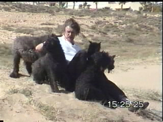 wim en uwe